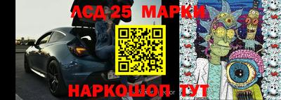мяу мяу мука Гатчина