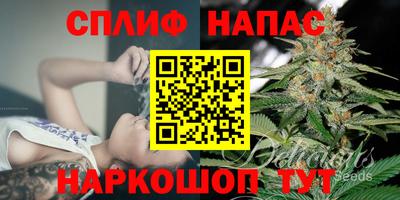 мяу мяу мука Гатчина