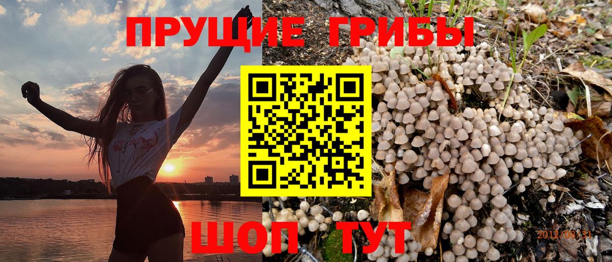 Псилоцибиновые грибы MAGIC MUSHROOMS Карасук