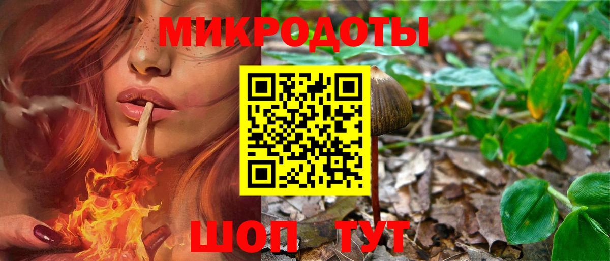 Псилоцибиновые грибы Psilocybe  где купить наркоту  Карасук  Вход с VPN 